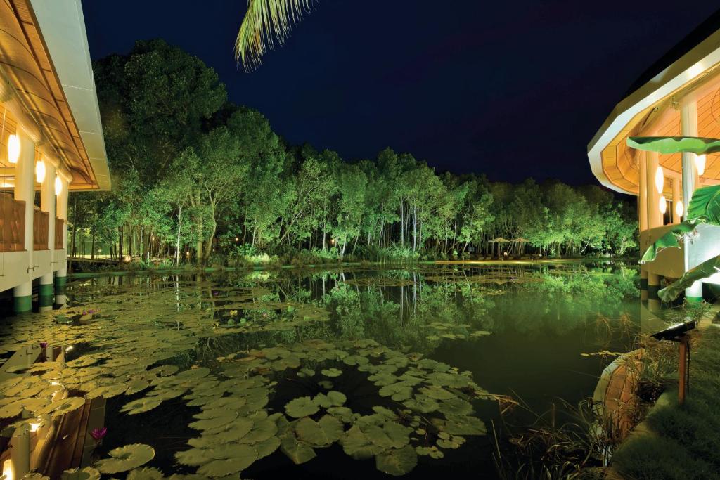 Dreamland Maldives Resort - photo 14