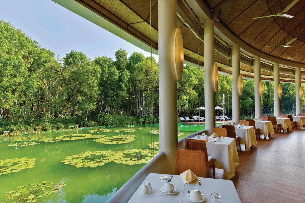 Dreamland Maldives Resort - photo 16