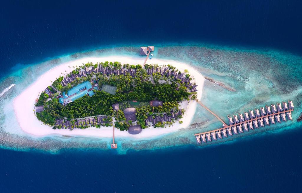 Dreamland Maldives Resort - photo 25