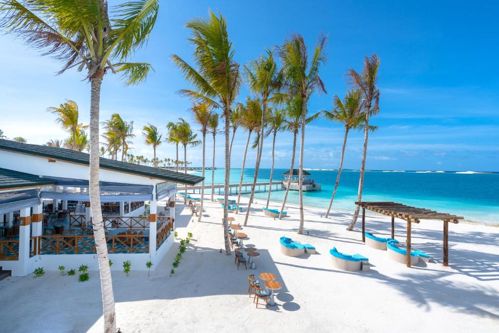 Joy island Maldives - photo 19