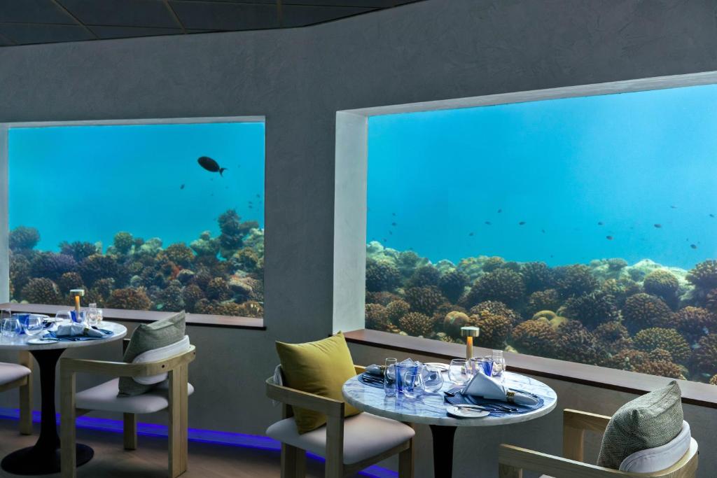 OBLU XPERIENCE Ailafushi - photo 30