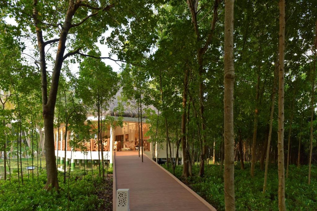 Dreamland Maldives Resort - photo 12