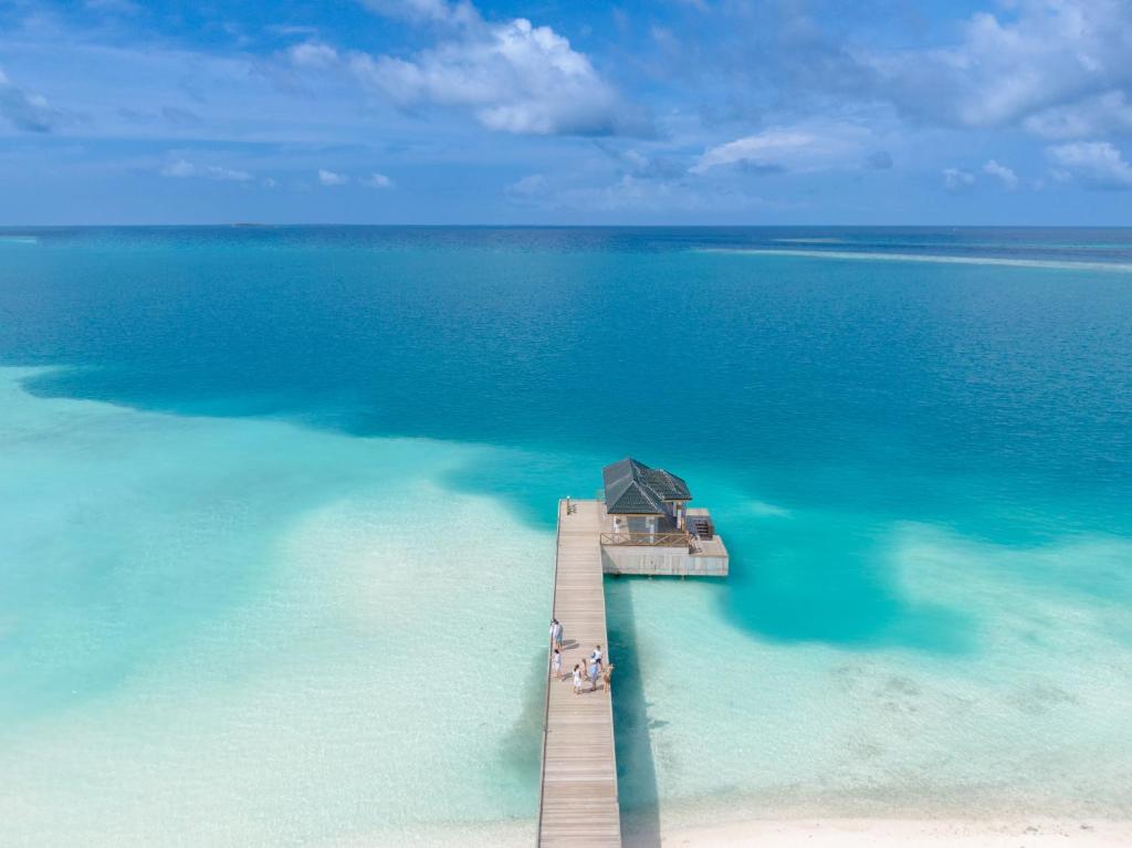 Joy island Maldives - photo 32