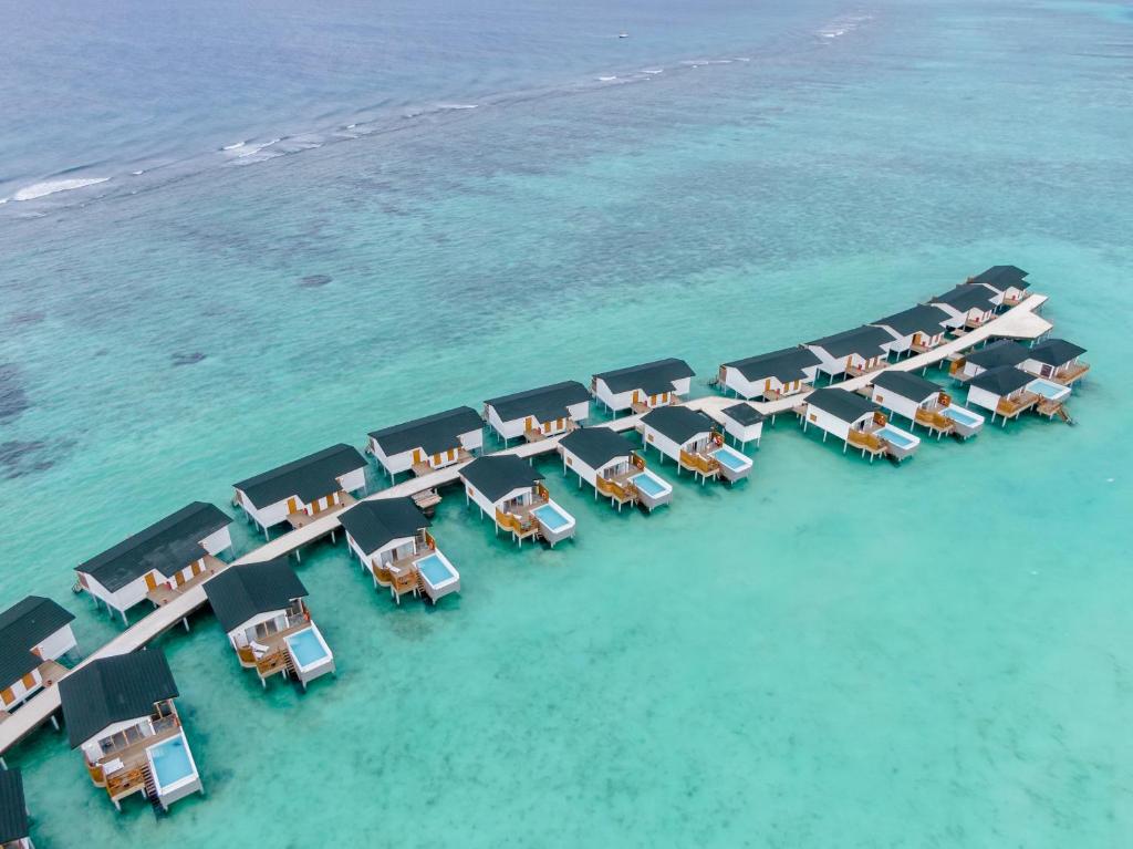 Joy island Maldives - photo 31