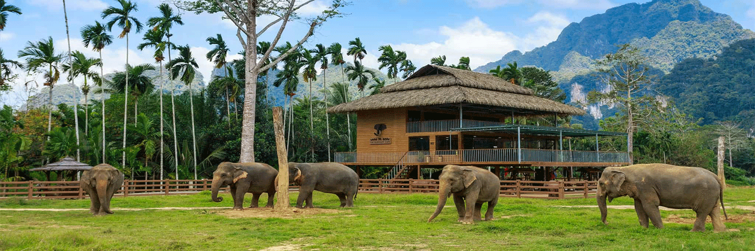 Thailand holiday
