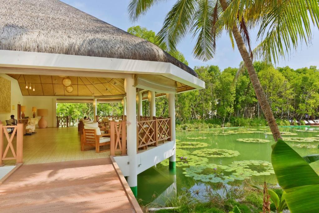 Dreamland Maldives Resort - photo 13