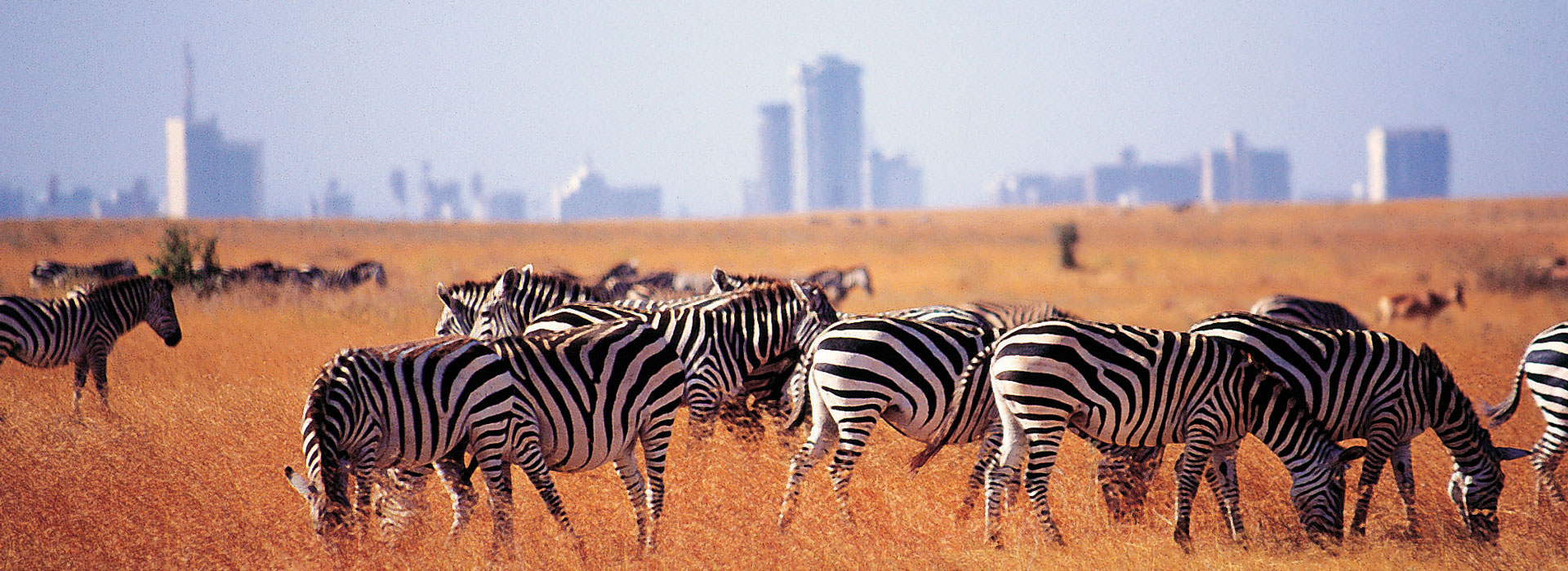 Nairobi & Mombasa holiday