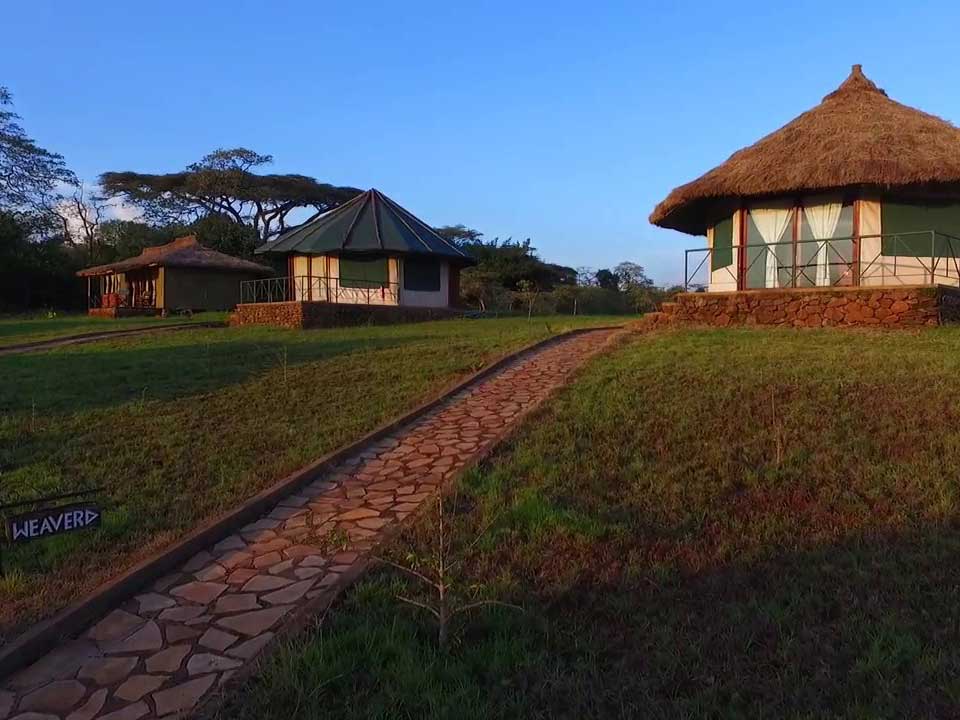 Tanzania Classic – Simba Lodges - photo 3