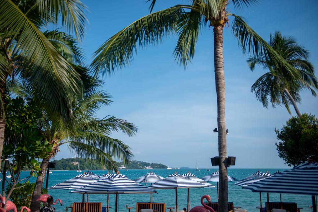 Bandara Beach Resort, Phuket - photo 56