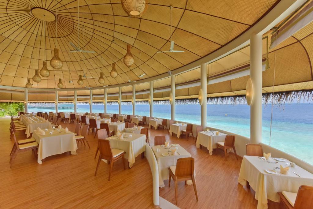 Dreamland Maldives Resort - photo 23