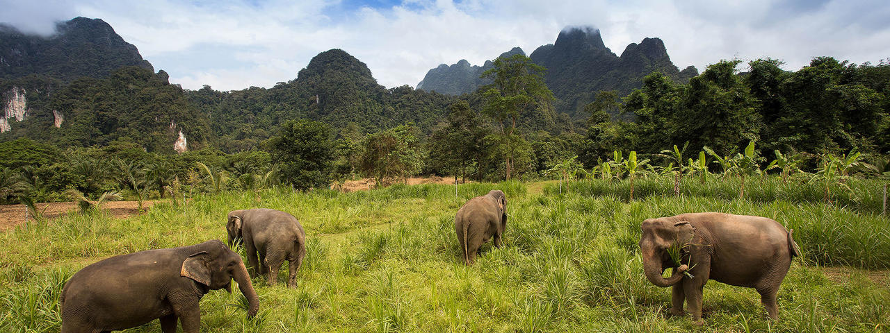 Phuket, Elephant Hills Khao Sok & Krabi - 14 Nights