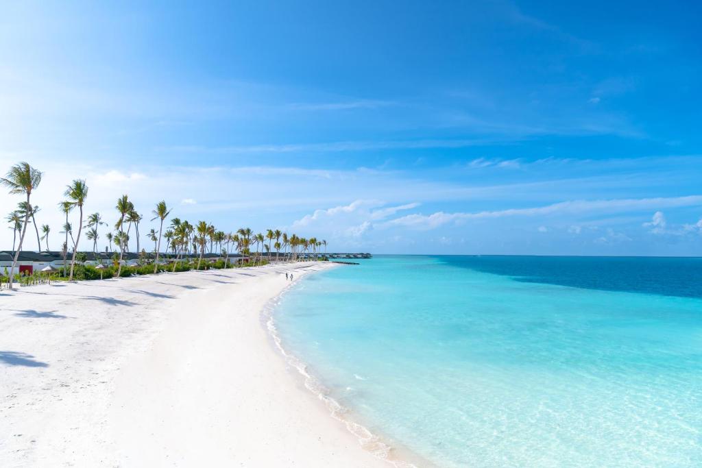 Joy island Maldives - photo 30