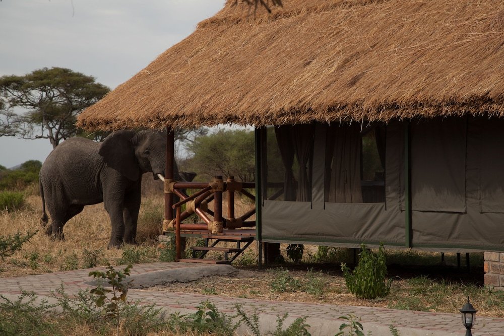 Tanzania Classic – Simba Lodges - photo 6