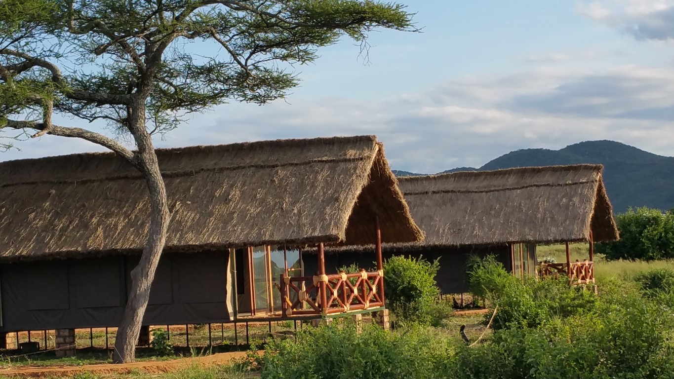 Tanzania Classic – Simba Lodges - photo 5